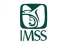 Instituto Mexicano del Seguro Social (IMSS)